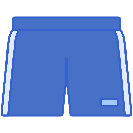 pantalones cortos Flaticons Lineal Color icono