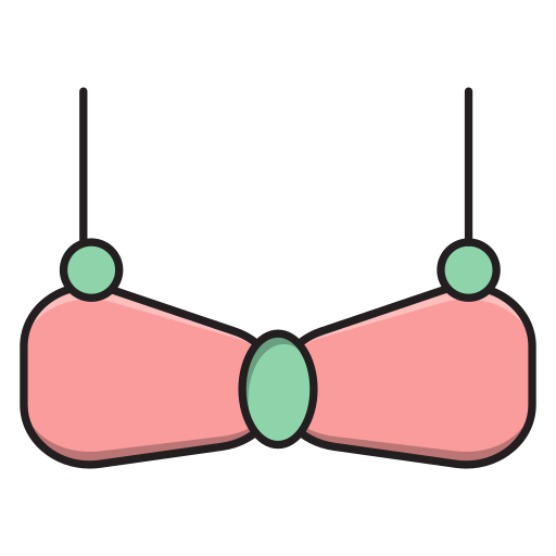 Bra Vector Stall Lineal Color icon