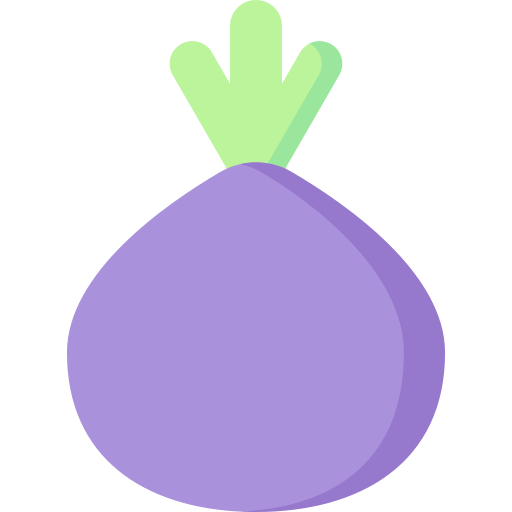Onion Special Flat icon