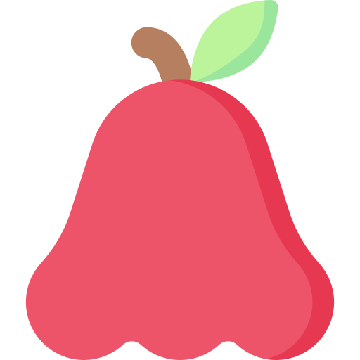 Rose apple Special Flat icon