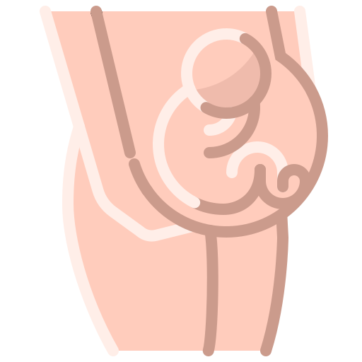 妊娠中 PMICON Flat icon