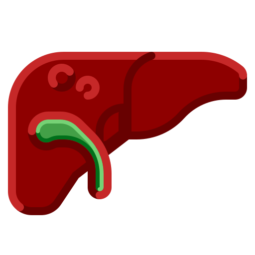 Órgano del hígado PMICON Flat icono
