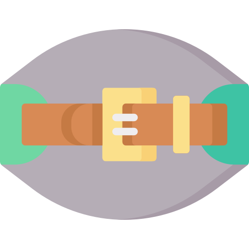 Belt Special Flat icon