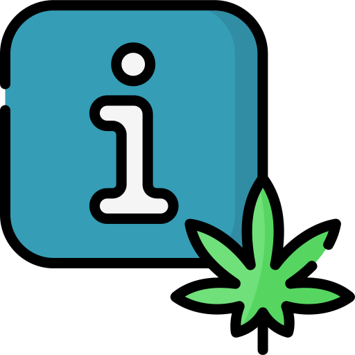 cannabis Special Lineal color icon