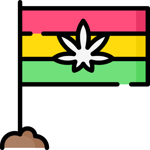 bandiera Special Lineal color icona