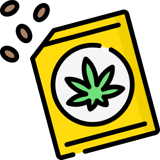 Seeds Special Lineal color icon