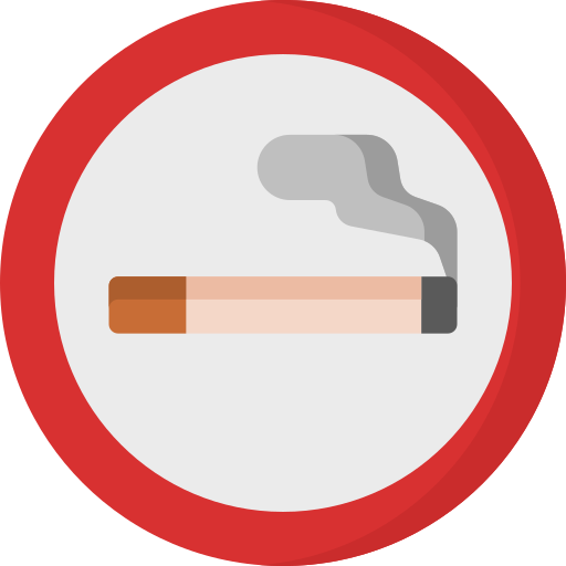 Smoking area Special Flat icon