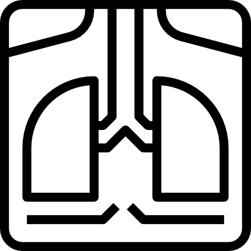 polmoni Becris Lineal icona