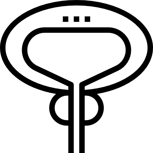 próstata Becris Lineal icono