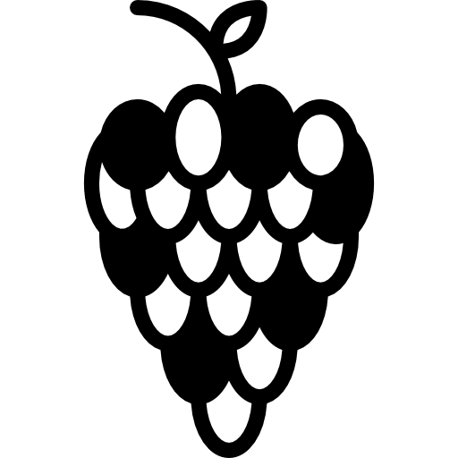 Grapes Basic Miscellany Fill icon
