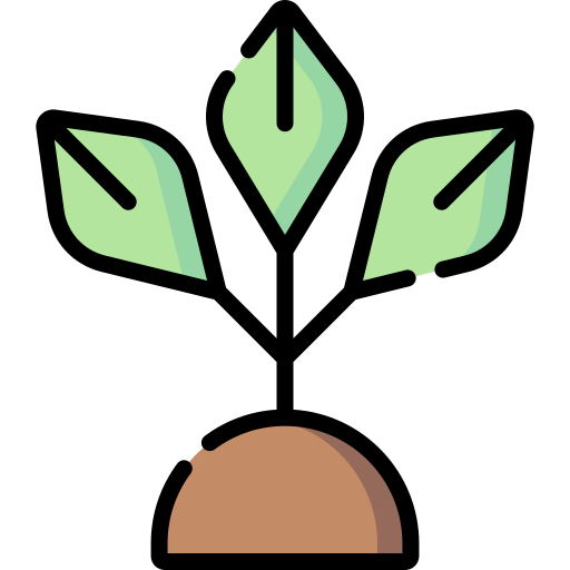 Bael tree Special Lineal color icon