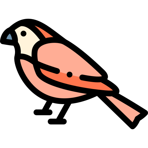 Sparrow Detailed Rounded Lineal color icon