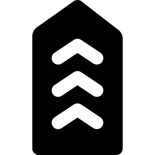 Chevron Basic Black Solid icon