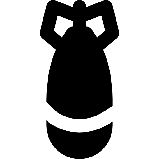 Bomb Basic Black Solid icon