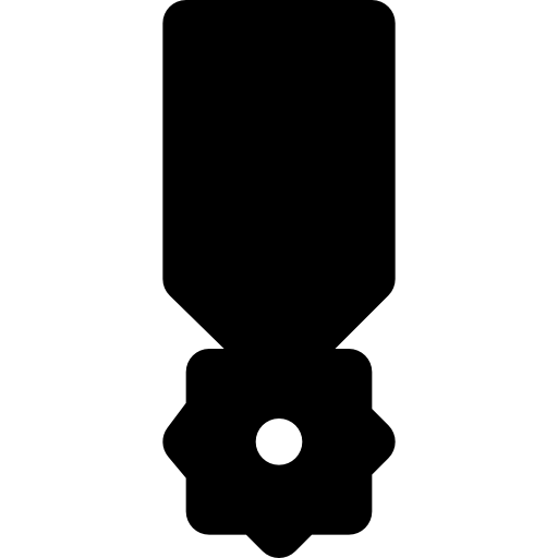 médaille Basic Black Solid Icône