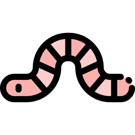Worm Detailed Rounded Lineal color icon
