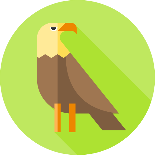 Eagle Flat Circular Flat icon