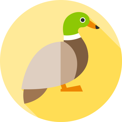 stockente Flat Circular Flat icon