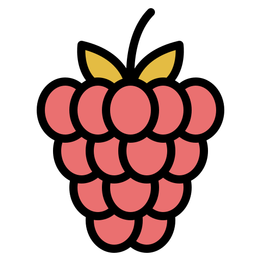 framboise Iconixar Lineal Color Icône