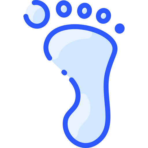 Footprint Vitaliy Gorbachev Blue icon