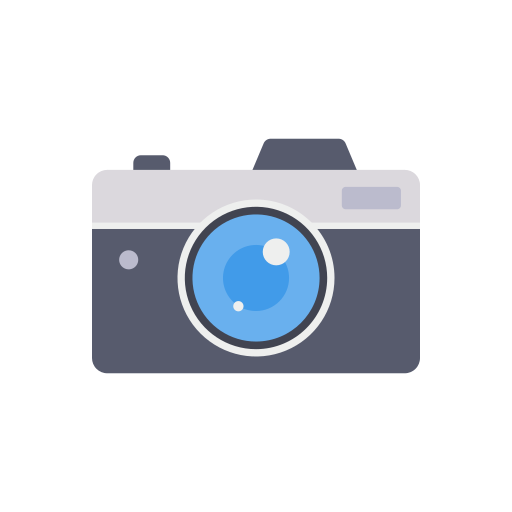 kamera Dinosoft Flat icon