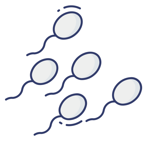 esperma Dinosoft Lineal Color icono