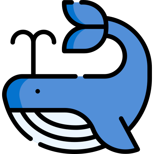 ballena Special Lineal color icono