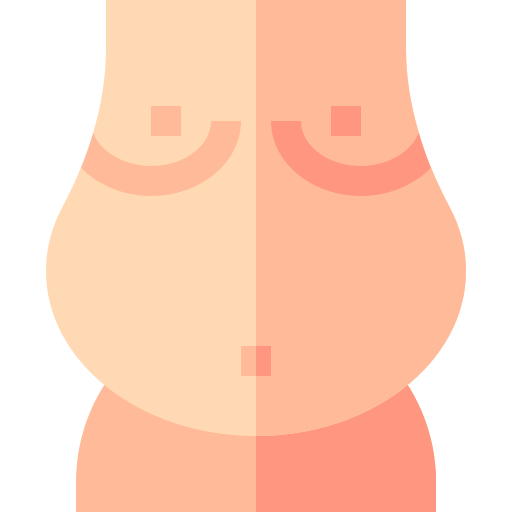 Obesity Basic Straight Flat icon
