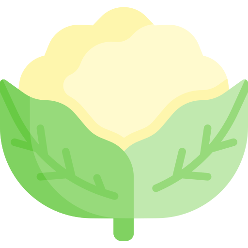 bloemkool Special Flat icoon