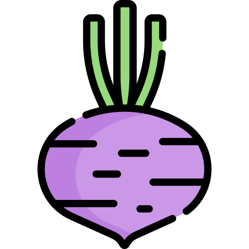 Beet Special Lineal color icon