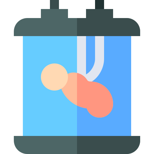 gebärmutter Basic Straight Flat icon
