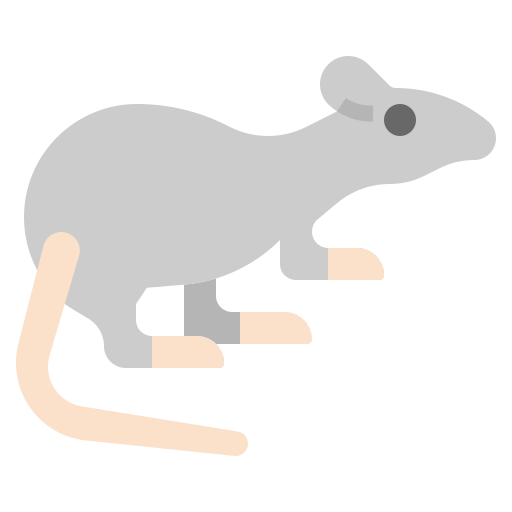 szczur Surang Flat ikona