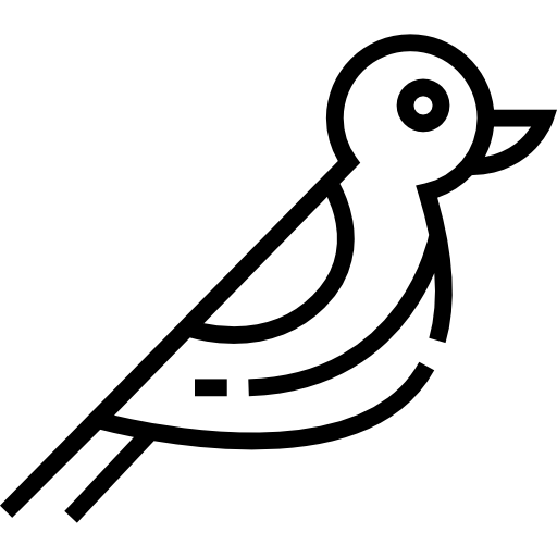 pájaro Detailed Straight Lineal icono