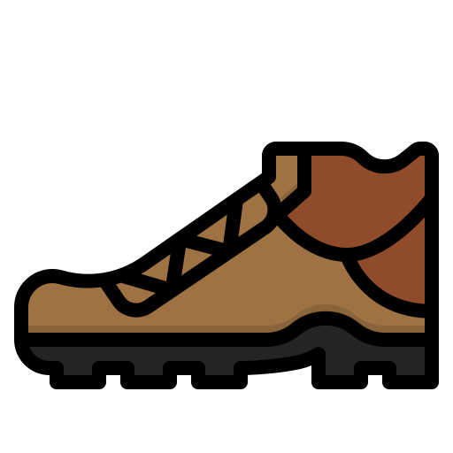 Shoe dDara Lineal Color icon