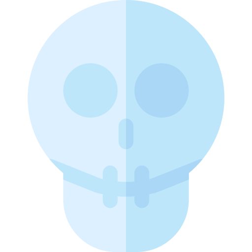 czaszka Basic Rounded Flat ikona