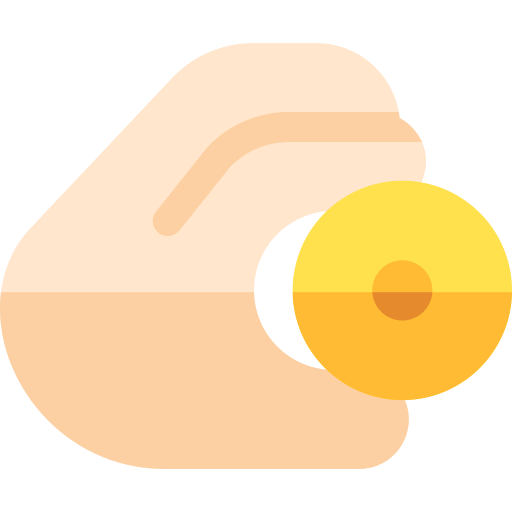 Coin Basic Rounded Flat icon