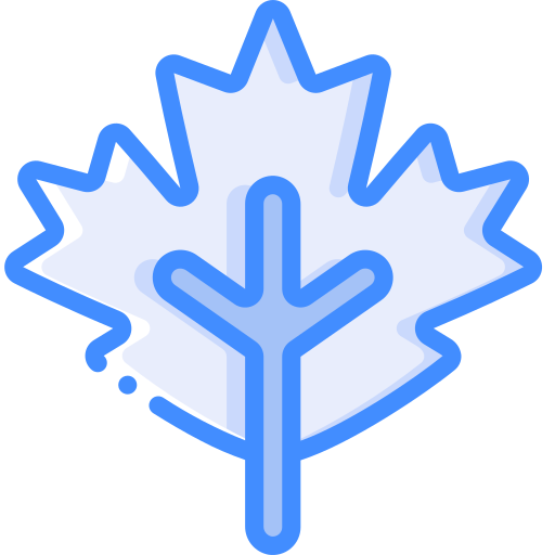 blad Basic Miscellany Blue icoon