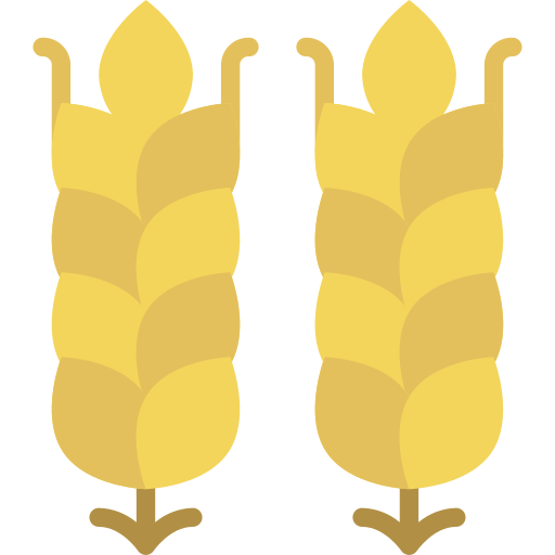 Wheat Basic Miscellany Flat icon