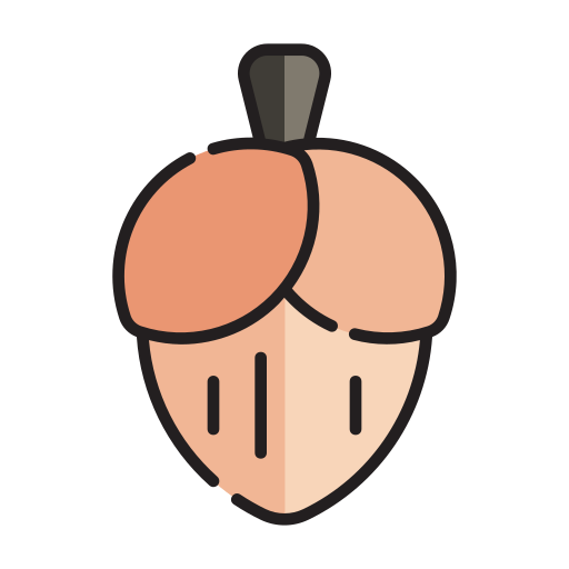 ヘーゼルナッツ Generic Outline Color icon