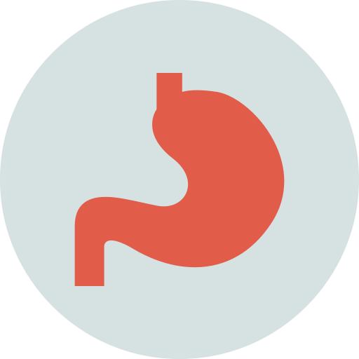 stomaco Generic Circular icona