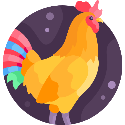 Rooster Detailed Flat Circular Flat icon