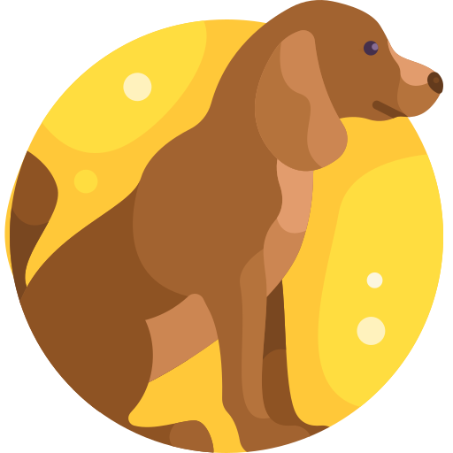 Собака Detailed Flat Circular Flat иконка
