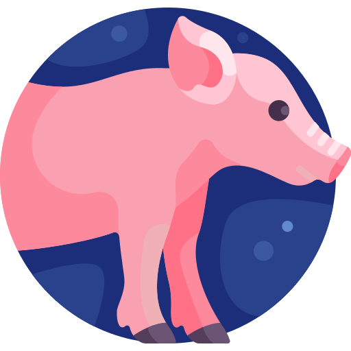 豚 Detailed Flat Circular Flat icon