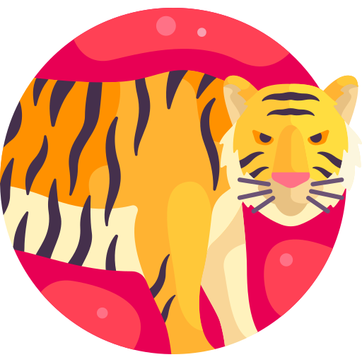 tijger Detailed Flat Circular Flat icoon