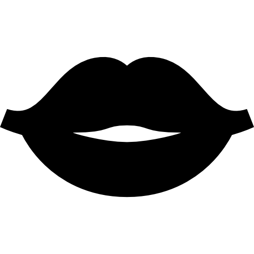 lip Basic Straight Filled icoon