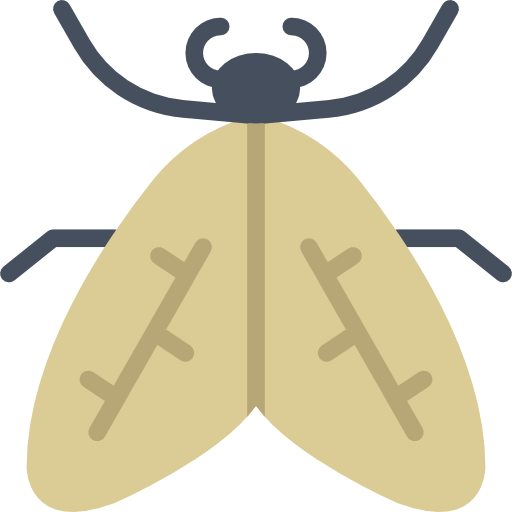 Moth Basic Miscellany Flat icon
