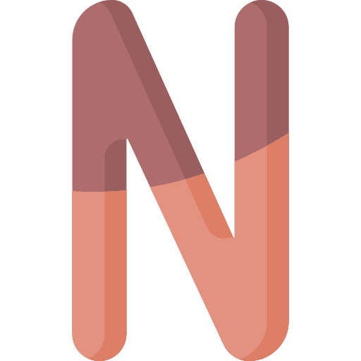 N Special Flat icon