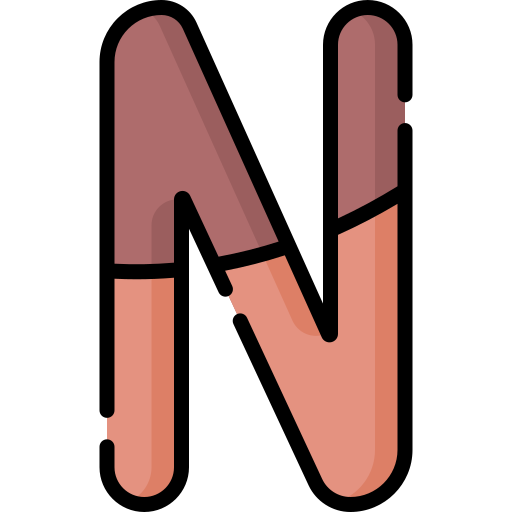 norte Special Lineal color icono