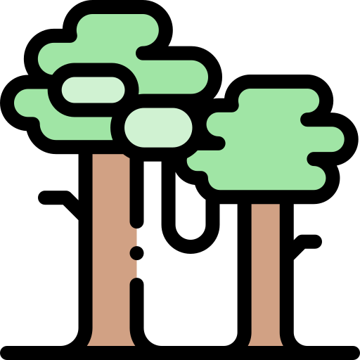 숲 Detailed Rounded Lineal color icon