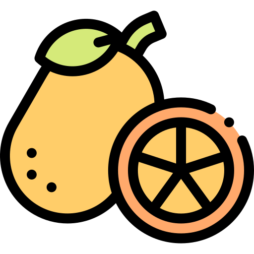 kumquat Detailed Rounded Lineal color icon